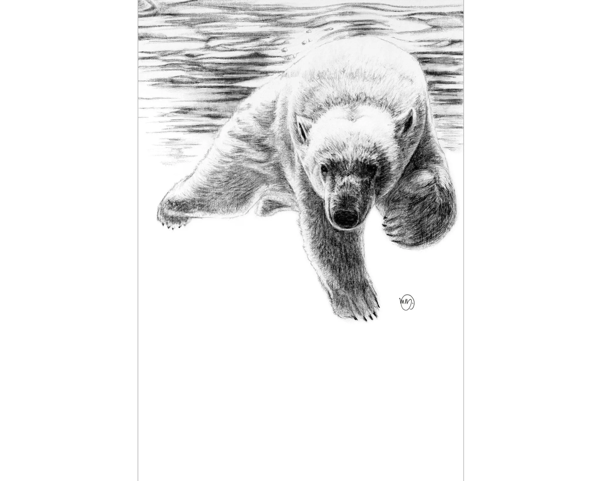 Polar Bear Swimming